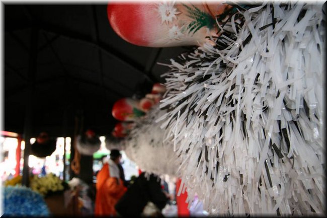 f2008-0171.jpg