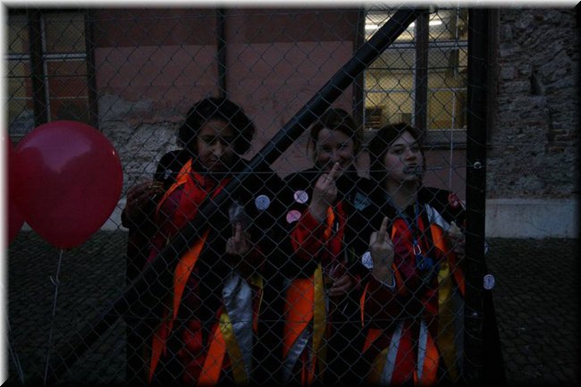 f2008-0341.jpg
