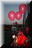 f2008-0358.jpg