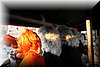 f2008-0449.jpg
