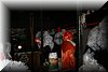 f2008-0458.jpg