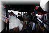 f2010-0035.jpg
