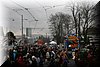 f2013 (92).JPG